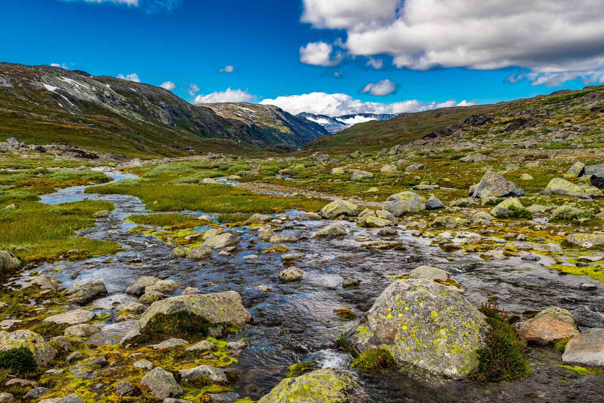 Blick auf die Landschaft von Oslo - private Tagesreise von Jotunheimen National Park - Foto 8
